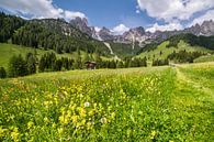 Spring in the Alps by Coen Weesjes thumbnail