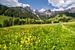 Frühlings-Blumenwiese in den Bergen von Coen Weesjes