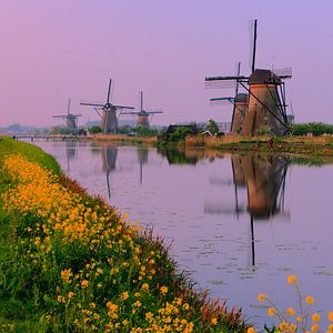 Sonnenaufgang in Kinderdijk