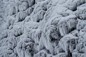 ICE von Femke Ketelaar