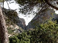 forêt espagnole et nature caminito del rey