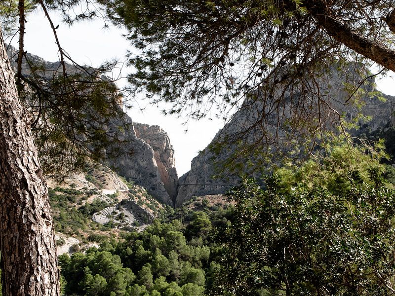 spain forest and nature caminito del rey by Ivanovic Arndts