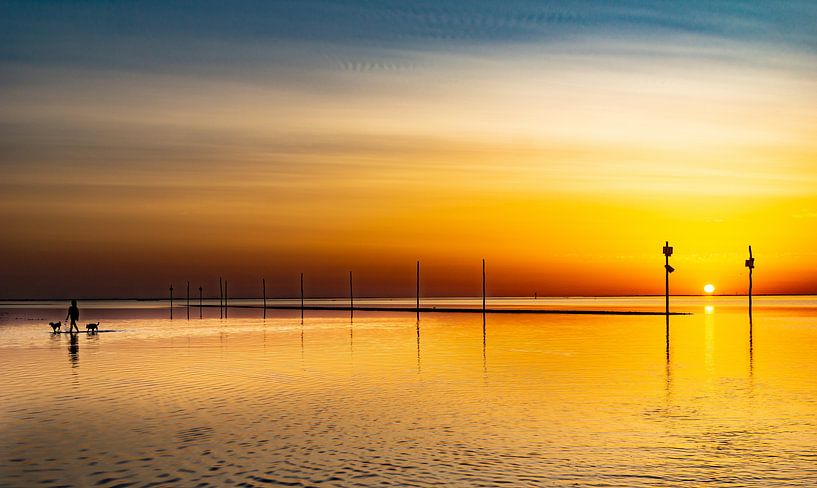 Sommerliche Stimmung von Ria Overbeeke