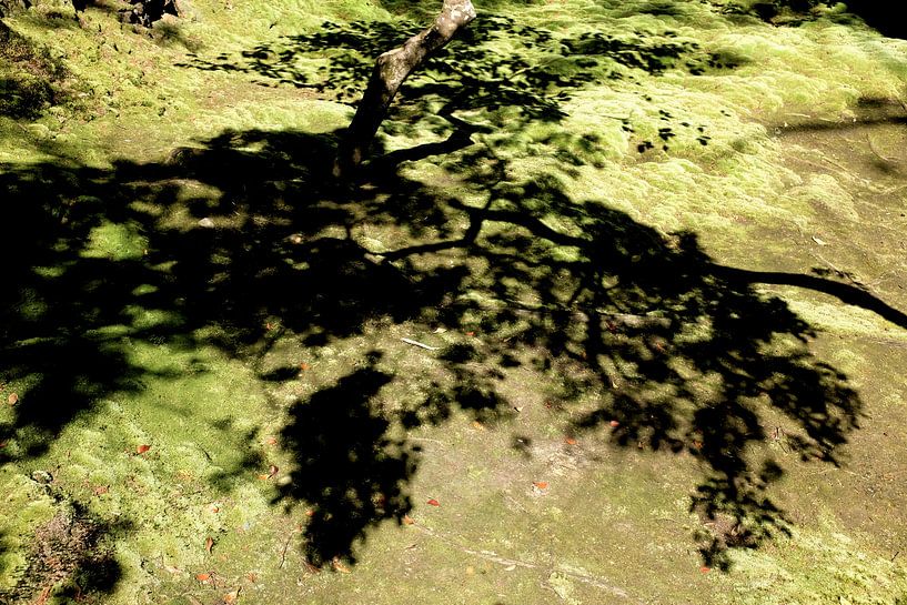 'In de schaduw', Kyoto- Japan by Martine Joanne