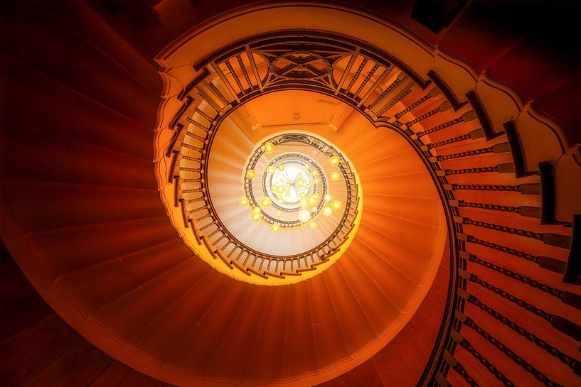 Heals of London by Loris Photography