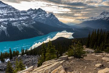Lake Peyto in the Rocky Mountains by Roland Brack