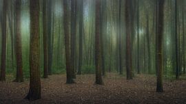 Sprookjesbos by Klaas Fidom