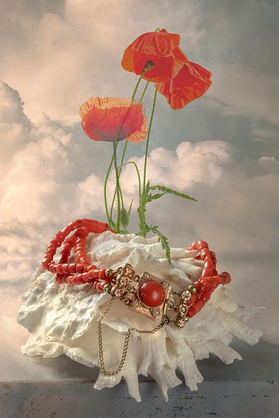 Still life 'Between heaven and earth' by Willy Sengers