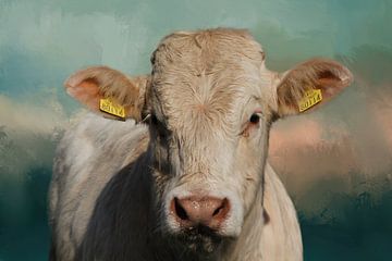 Portret van een Charolais-kalf van Western Exposure