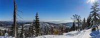 Winterlandschaft am Lusen von Dirk Rüter Miniaturansicht