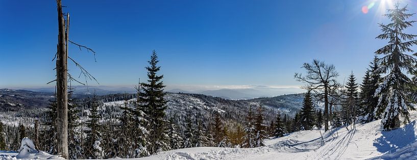 Winterlandschaft am Lusen von Dirk Rüter