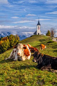 Herbstliches Slowenien
