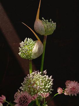 Stilleven. Lichtval op uienbollen en zeeuws knoopje. van Alie Ekkelenkamp