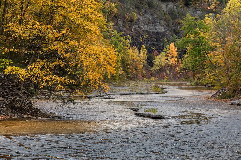Een landschap in herfstkleuren van de waterval van de  rivier in de staat New York, USA van Karin Broekhuijsen