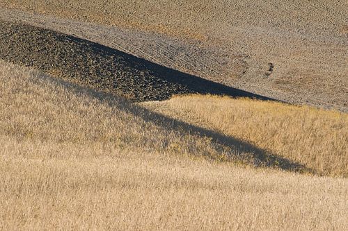 Lijnen en vlakken in Toscane.