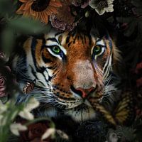 Ein Tiger schaut durch die Büsche