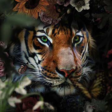 Un tigre regarde à travers les buissons