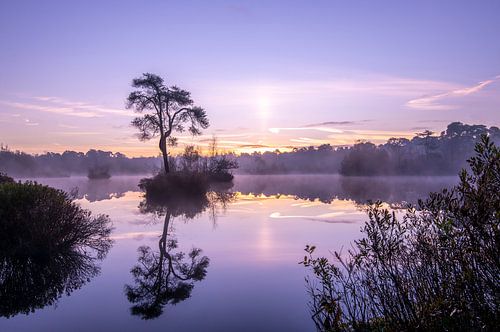 het eilandje van het Voorste Goorven in de mist met het blauwe uurtje.