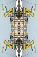 Industrieel insect