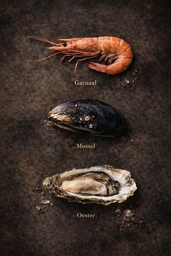 Meeresfrüchte. von Bert Quaedvlieg