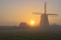 Bosmolen Egmond aan den Hoef