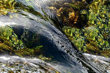 WILDBACH 2 von Miroslav Ptacek