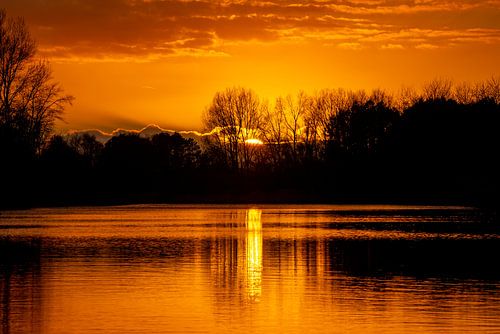 Gouden Zonsondergang bij de Amsterdamse Waterleidingduinen