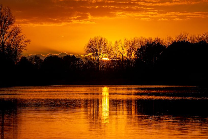 Gouden Zonsondergang bij de Amsterdamse Waterleidingduinen van John Ozguc