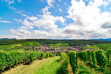 Vines 2.1 Pfaffenweiler by Ingo Laue