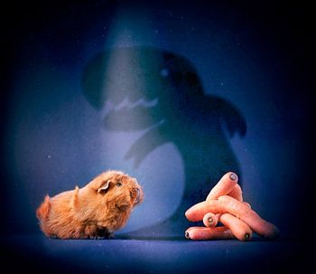 Cochon d'Inde Fantôme