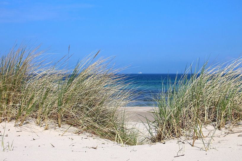 Durchblick von Ostsee Bilder