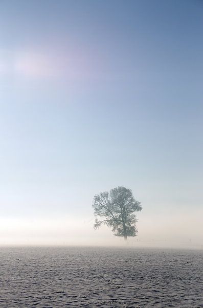 Sneeuw en mist Coelhorst Hoogland Amersfoort by Watze D. de Haan