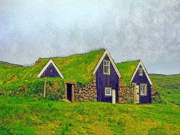 Plaggenhutten in Skaftafell, IJsland van Frans Blok