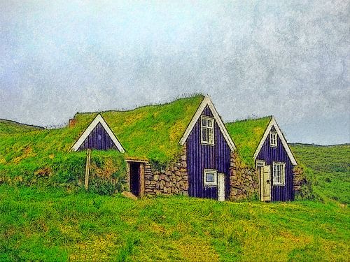 Plaggenhutten in Skaftafell, IJsland