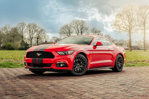 Roter Ford Mustang