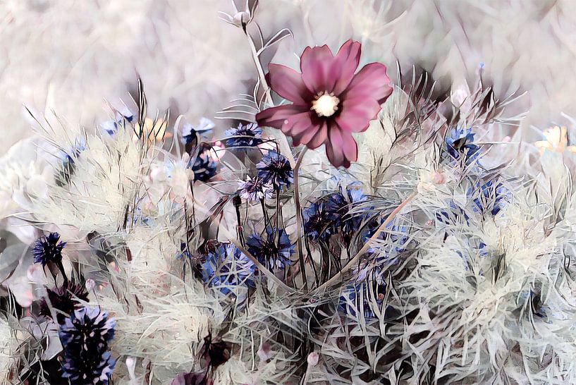 Red flower in the meadow by Patricia Piotrak