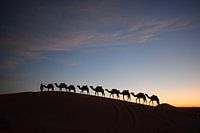 Morgen in der Wüste