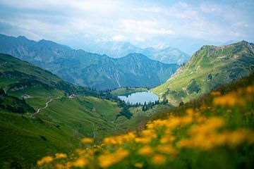 Blumige Aussicht auf den Seealpsee in den Allgäuer Alpen