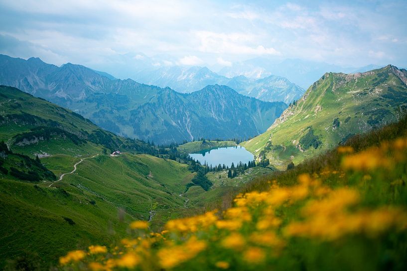 Flowery view of the Seealpsee in the Allgäu Alps by Leo Schindzielorz