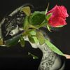 Roos en Rebel van Artforyou  werk van Henk Adriani