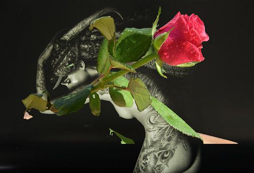 Roos en Rebel