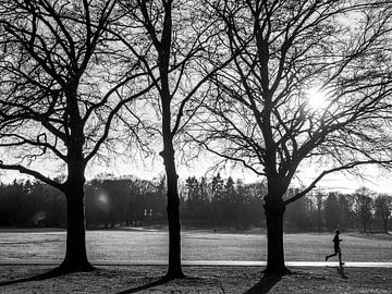 Hardloper in het Goffertpark