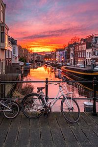 Coucher de soleil depuis le pont Kraaierbrug avec vue sur la rivière Nieuwe Rijn à Leiden (0202)