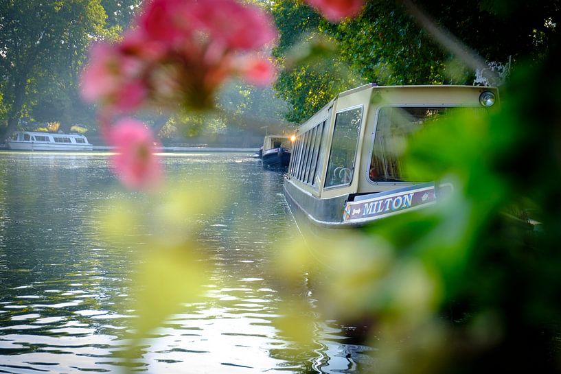 London | A bright vista to the boats of Little Venice | Travel photography by Diana van Neck Photography