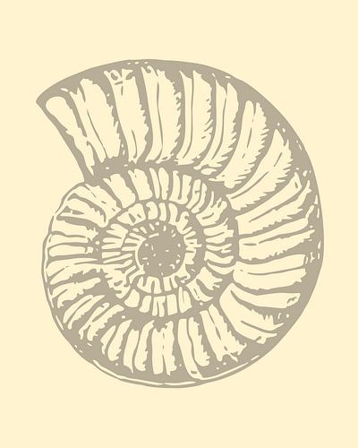 Gentle shell composition
