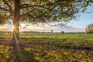 De Marsch(molen in Lienden