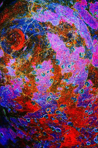 Blue Snail Toss by De Rover