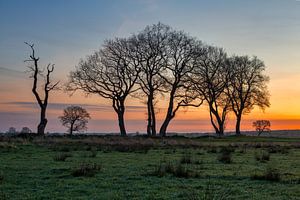 L'air africain dans la Drenthe