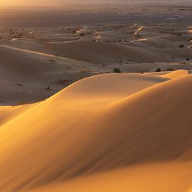 Merzouga Wüste Marokko Sonnenaufgang goldene Stunde von Wendy Bos