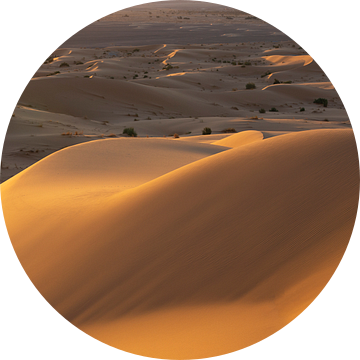 Merzouga desert Morocco sunrise golden hour van Wendy Bos